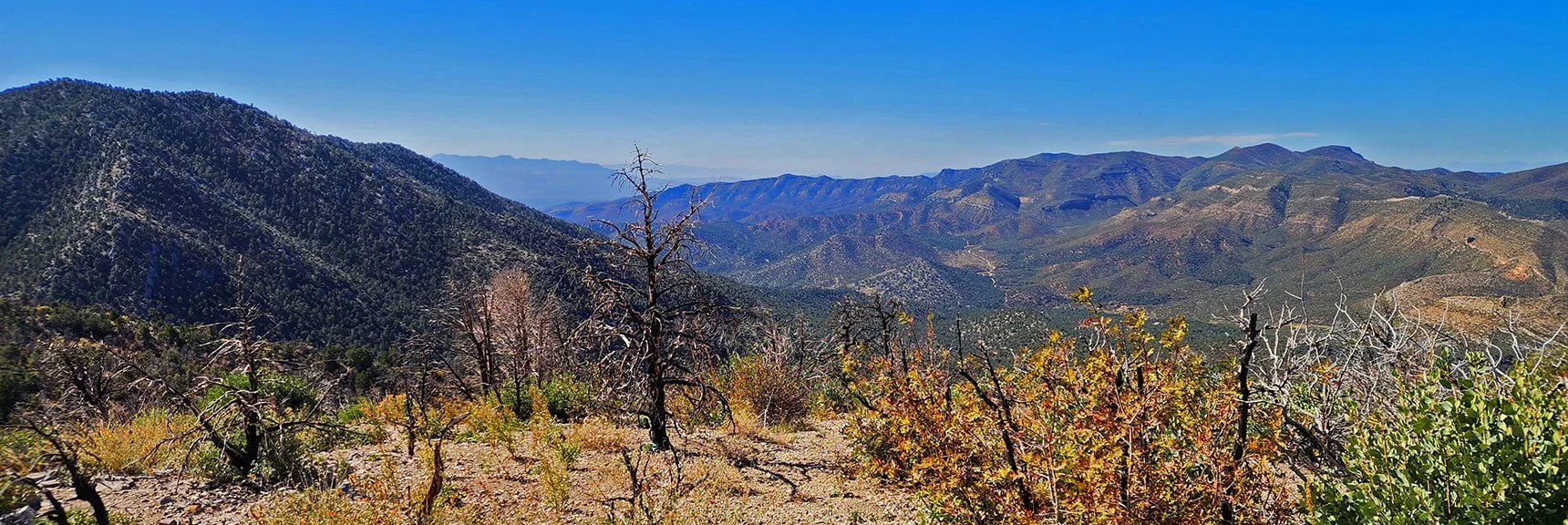 View West Across Lovell Canyon from Bald Hill (earlier burn site). | Switchback Spring Pinnacle | Wilson Ridge | Lovell Canyon, Nevada
