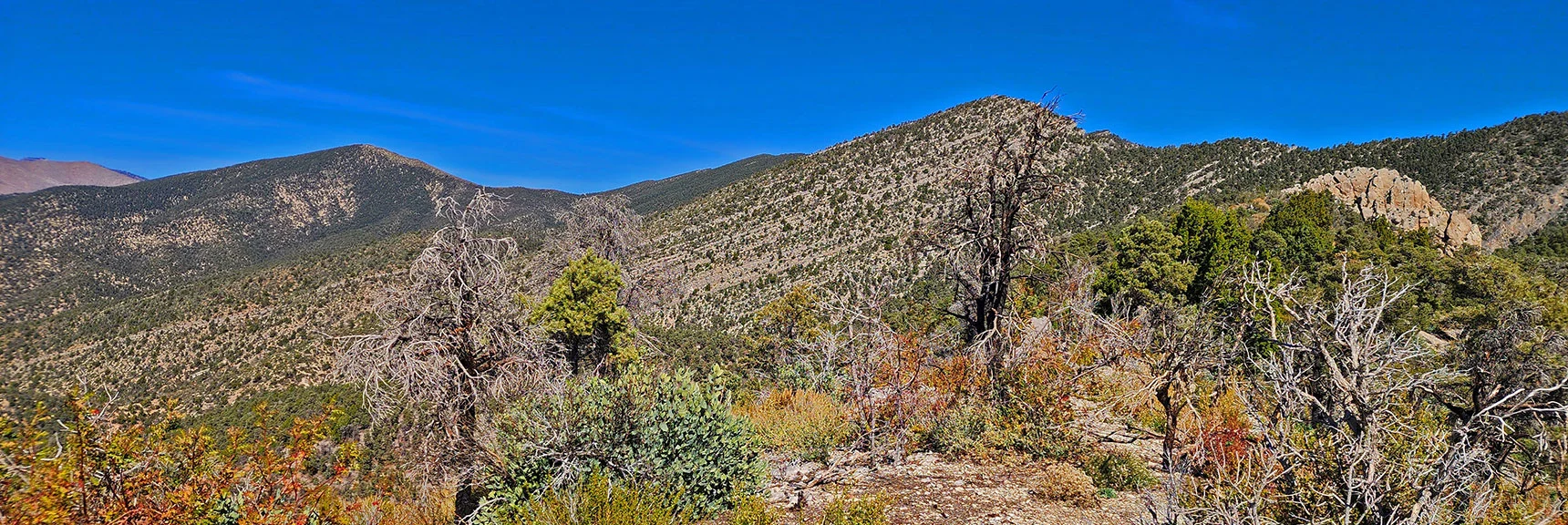 View North on Wilson Ridgeline. Some Significant Steep Ascents in This Direction. | Switchback Spring Pinnacle | Wilson Ridge | Lovell Canyon, Nevada