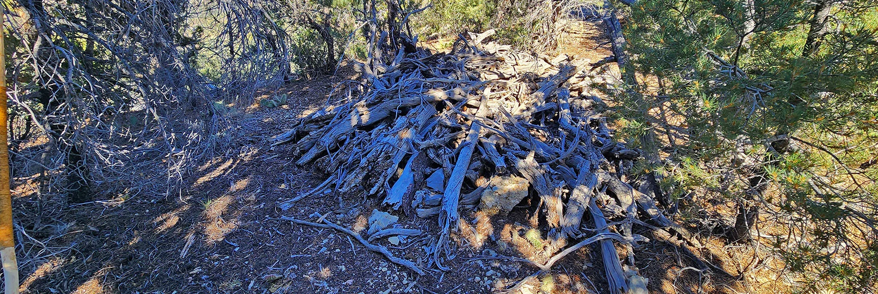 Looks Like a Very Old Collapsed Wooden Structure on Approach Ridge | Switchback Spring Pinnacle | Wilson Ridge | Lovell Canyon, Nevada