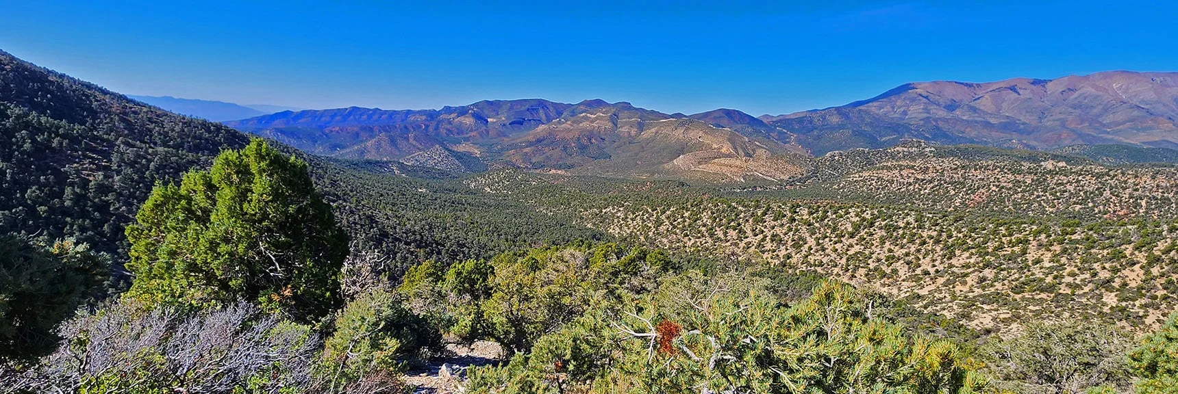 Higher View Down to Lovell Canyon and Its Western Ridgeline | Switchback Spring Pinnacle | Wilson Ridge | Lovell Canyon, Nevada