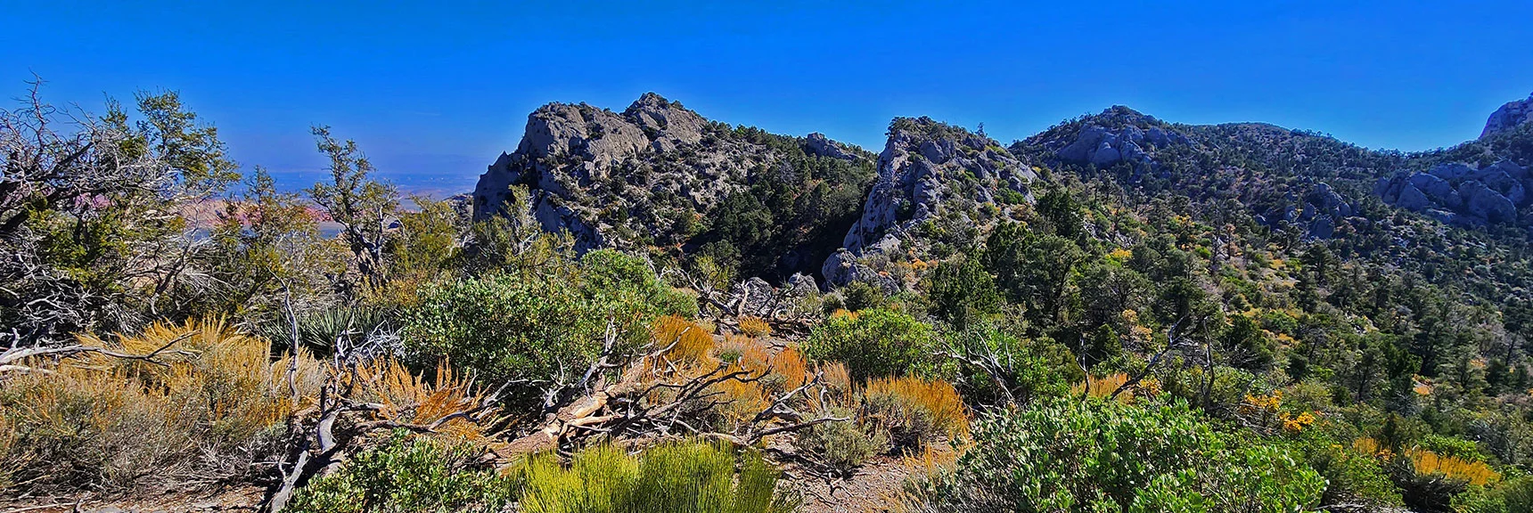 Potential Descent Route Between the Two Pinnacles. Wilson Ridgeline Continues South. | Switchback Spring Pinnacle | Wilson Ridge | Lovell Canyon, Nevada