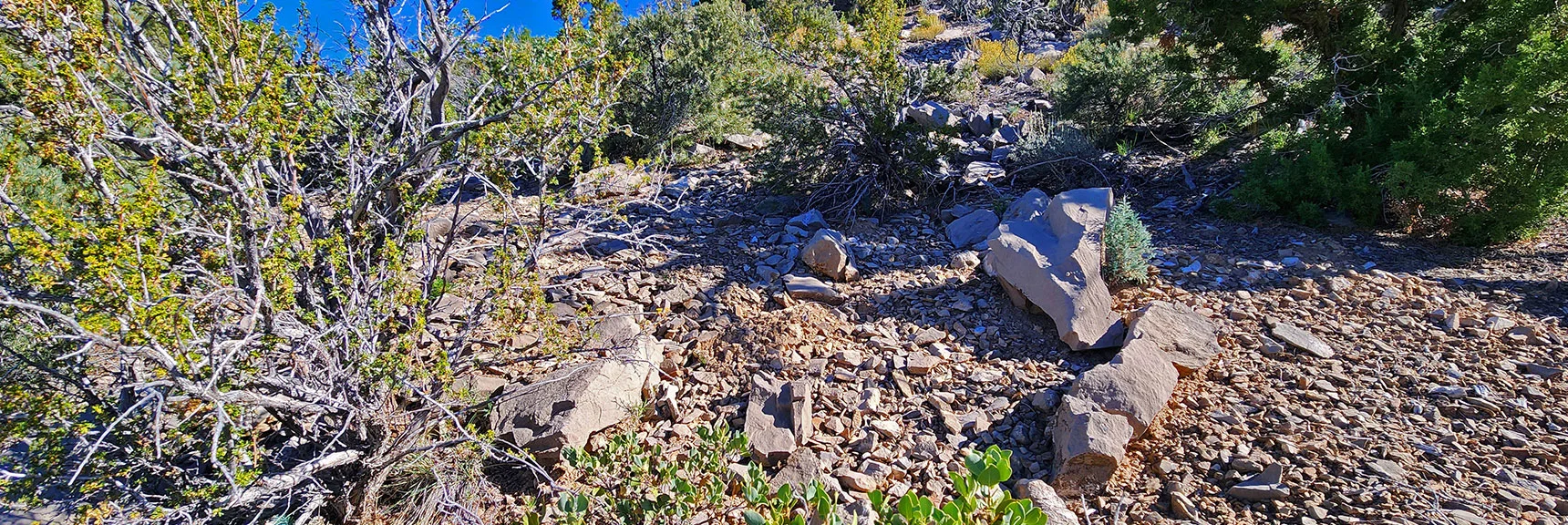 Many Camping/Historical Dwelling Spaces Along Route to Wilson Ridgeline. | Switchback Spring Pinnacle | Wilson Ridge | Lovell Canyon, Nevada