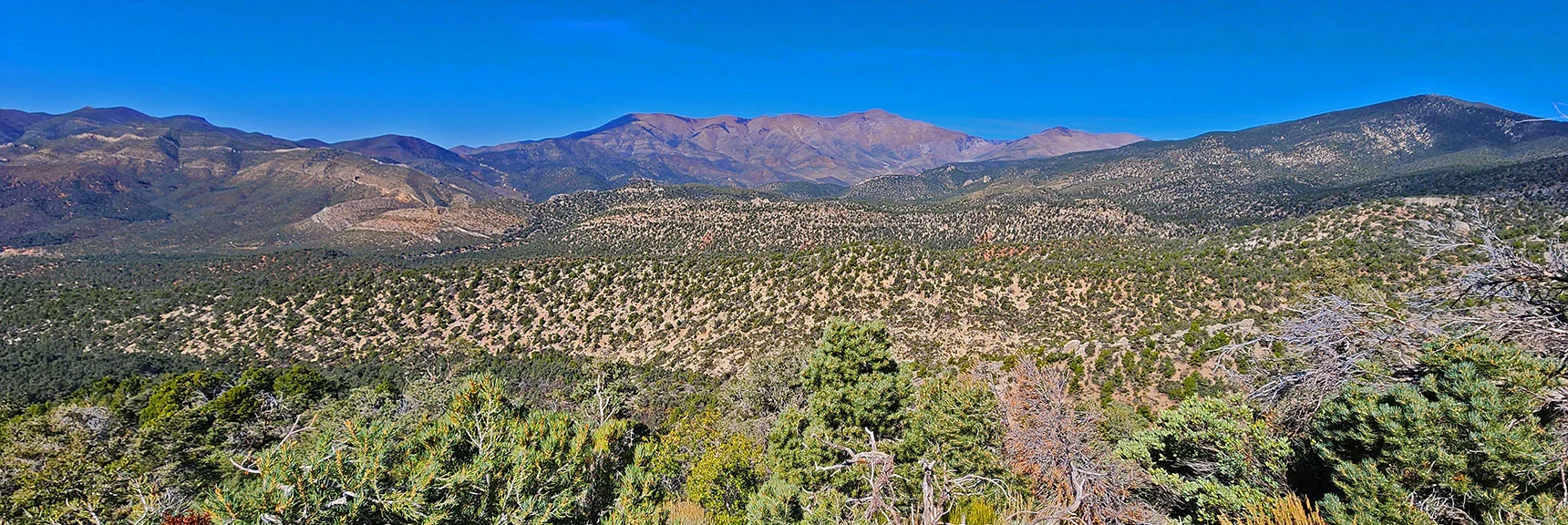 Mt. Charleston Wilderness Coming into View: Charleston Peak and Harris Mt. | Switchback Spring Pinnacle | Wilson Ridge | Lovell Canyon, Nevada
