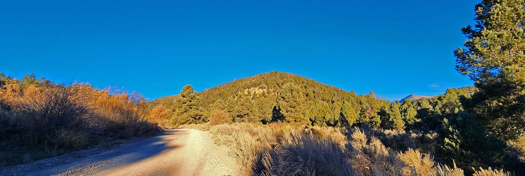Lovell Summit Road Branches from Upper Lovell Canyon Road and Crosses Over to Trout Canyon | Lovell Canyon Roads, Nevada | David Smith | LasV3gasAreaTrails.com