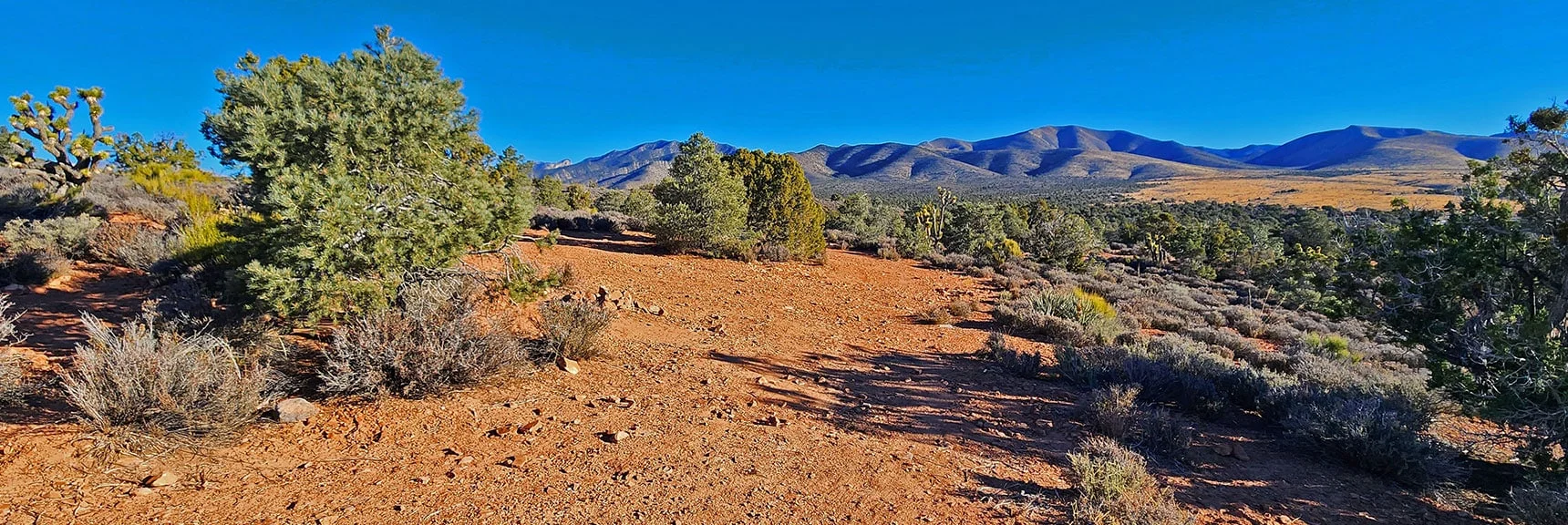 Some Hidden Spots with the Best Views Are Waiting to Be Occupied | Lovell Canyon Camping, Nevada | David Smith | LasVegasAreaTrails.com