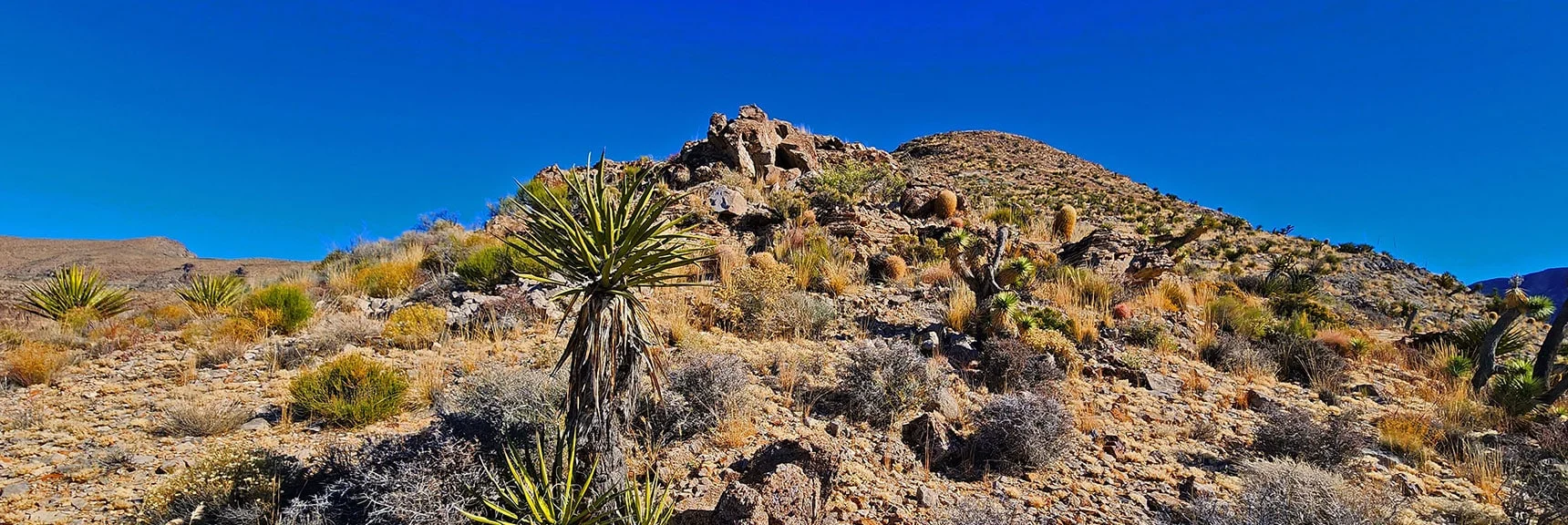 Ascending Toward High Point on South Summit Ridge | Landmark Bluff | Lovell Canyon, Nevada