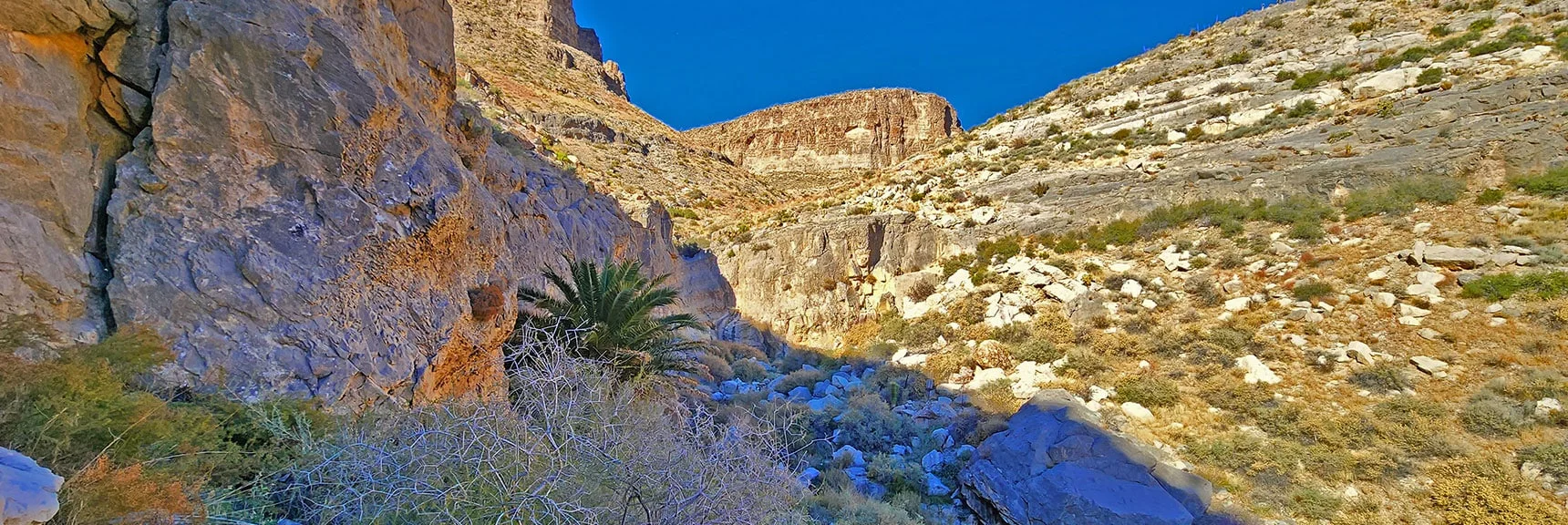Arrival at Mule Spring. Surrounded by Cliff Walls Making it a Box Canyon. | Landmark Bluff | Lovell Canyon, Nevada