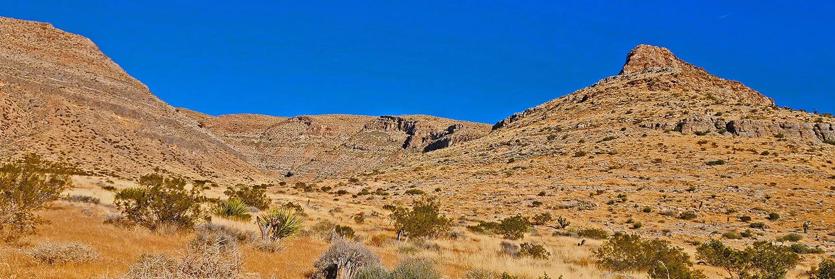 Entering Next Canyon. Mule Spring in This Canyon. | Landmark Bluff | Lovell Canyon, Nevada