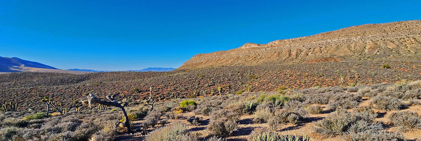 Ascending Slope to Skirt the Base of Landmark Bluff on the Way South | Landmark Bluff | Lovell Canyon, Nevada