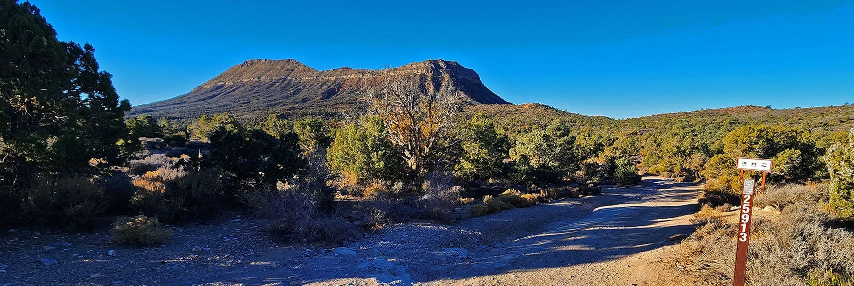 Start at NE Corner of Landmark Bluff: Lovell Canyon Rd & Forest Road 25913 | Landmark Bluff Circuit | Lovell Canyon, Nevada