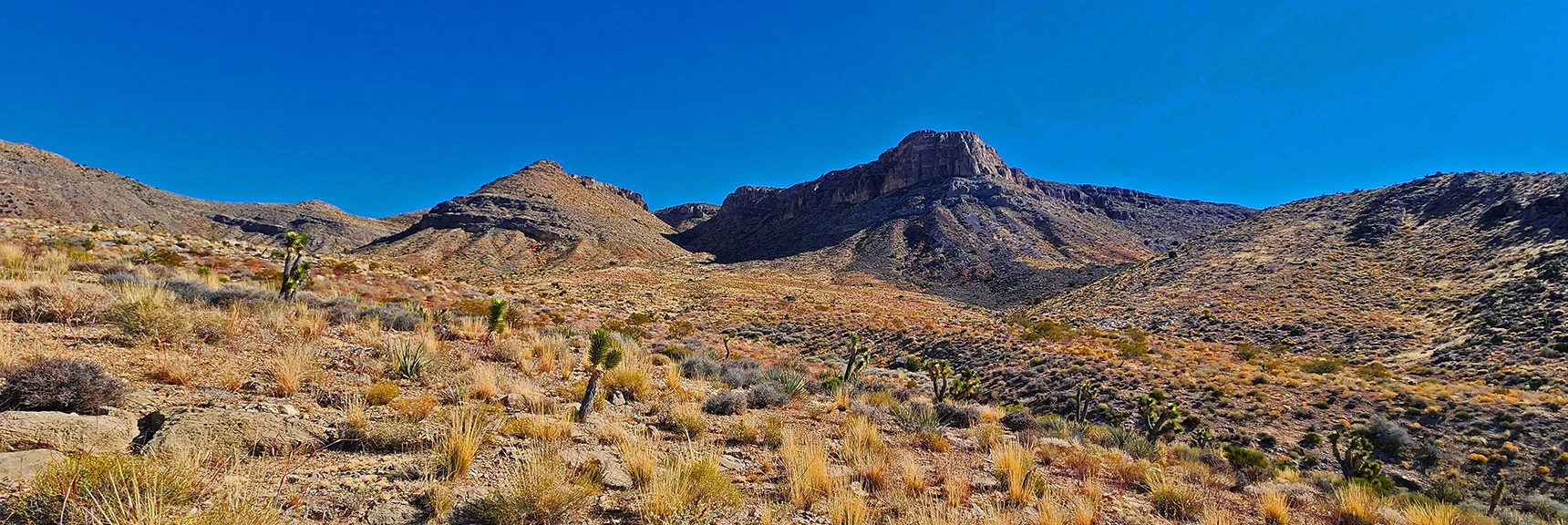 View into Second Canyon from North. Best Summit Approaches Will in Shallow Canyon to the Right. | Landmark Bluff Circuit | Lovell Canyon, Nevada