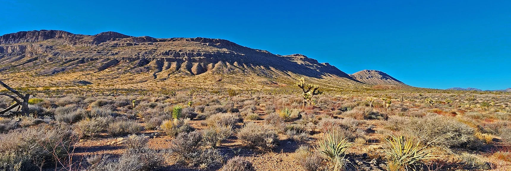 East Side of Bluff Coming into View. Now in Lovell Canyon's Regulated Area. | Landmark Bluff Circuit | Lovell Canyon, Nevada