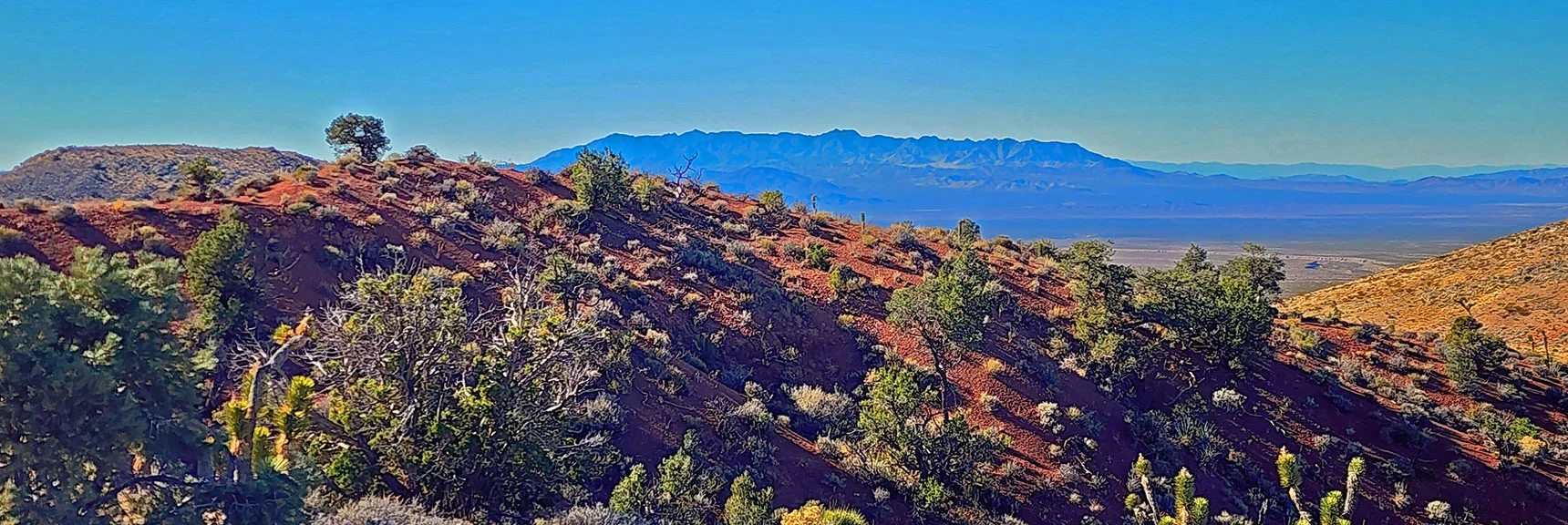 Nopah Range Commands the Western View. | Landmark Bluff Circuit | Lovell Canyon, Nevada