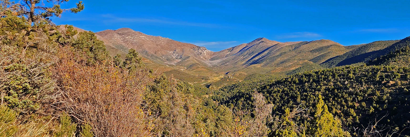 Upper Lovell Canyon from Lovell Canyon Trail: Sexton, Wilson & Griffith/Harris Saddle Ridgelines | Lovell Canyon Ridgelines | Lovell Canyon, Nevada