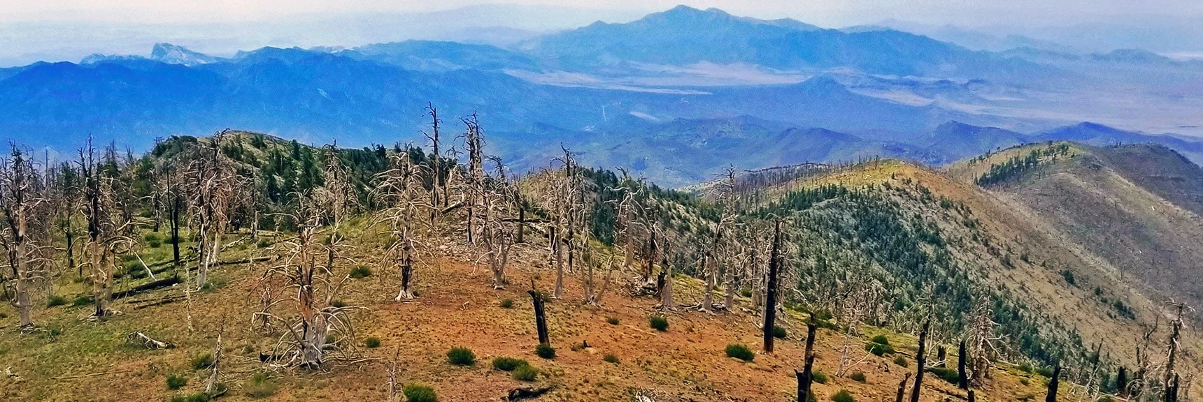 View Down Sexton Ridge from Near Griffith Peak | Lovell Canyon Ridgelines | Lovell Canyon, Nevada