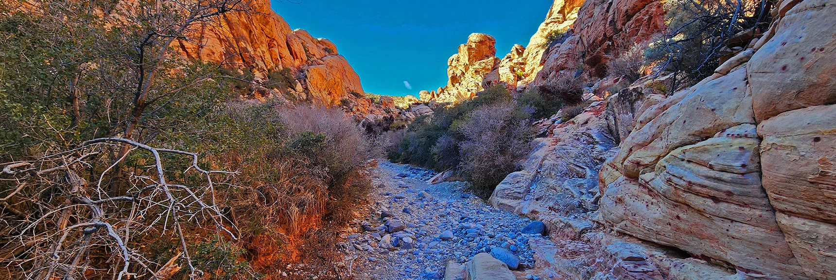 Continuing Along Wash. Lower Calico Hills to the Left | Lower Calico Hills Loop | Calico Basin & Red Rock Canyon, Nevada