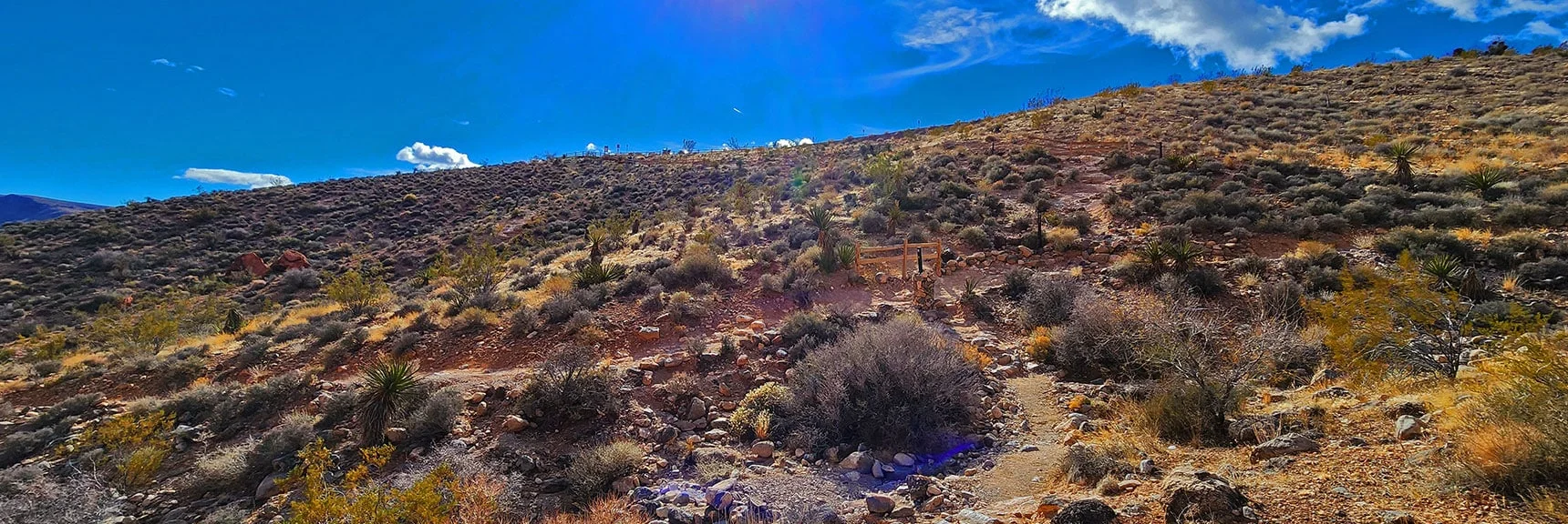 Here is the Grand Circle Trail Connection. Calico Hills 2 Viewpoint Above | Lower Calico Hills Loop | Calico Basin & Red Rock Canyon, Nevada