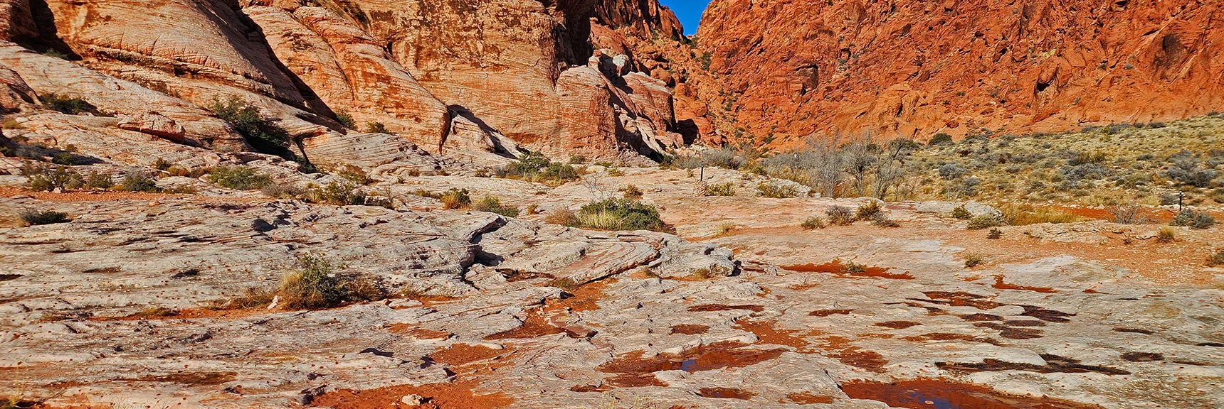 Approaching the Passage. Pressing Secure Footing Limits After Last Rain 12 Hours Ago. | Lower Calico Hills Loop | Calico Basin & Red Rock Canyon, Nevada