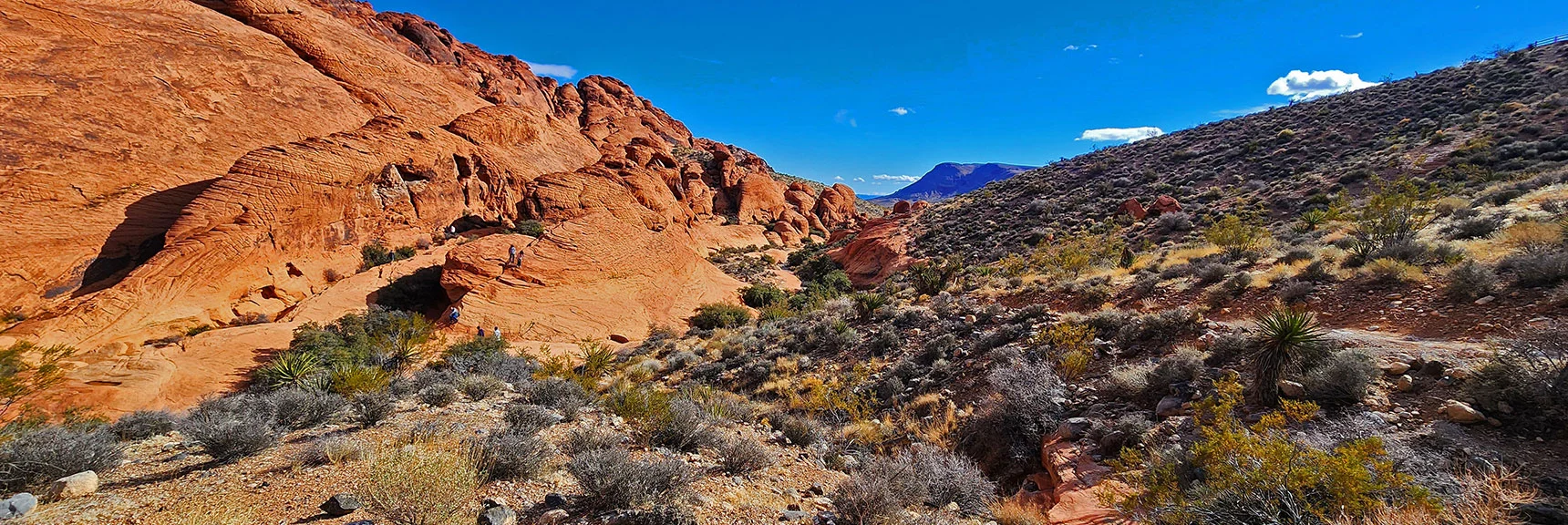 Now Continuing South Along Calico Hills West Side on Grand Circle Trail | Lower Calico Hills Loop | Calico Basin & Red Rock Canyon, Nevada