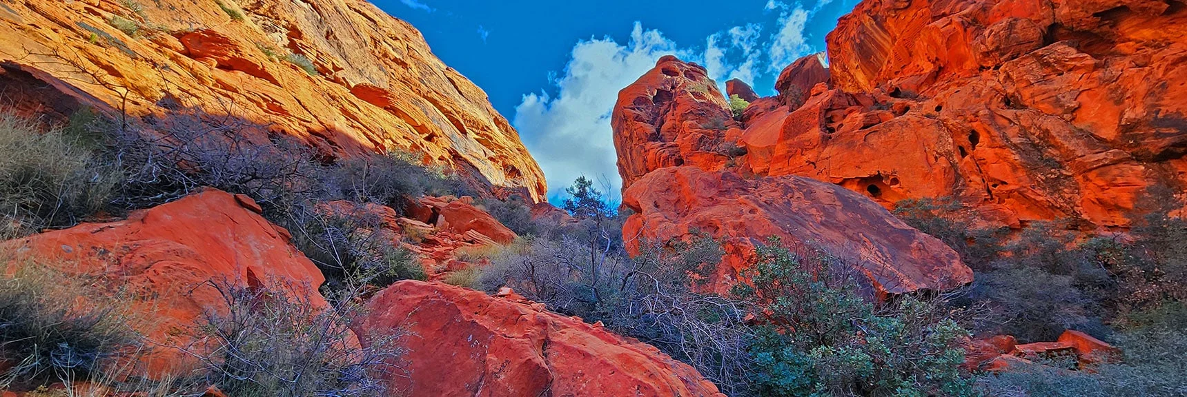 View Back Up Toward Passage Summit. Descent Has a Few Light Class 3 Rock Scrambles | Lower Calico Hills Loop | Calico Basin & Red Rock Canyon, Nevada