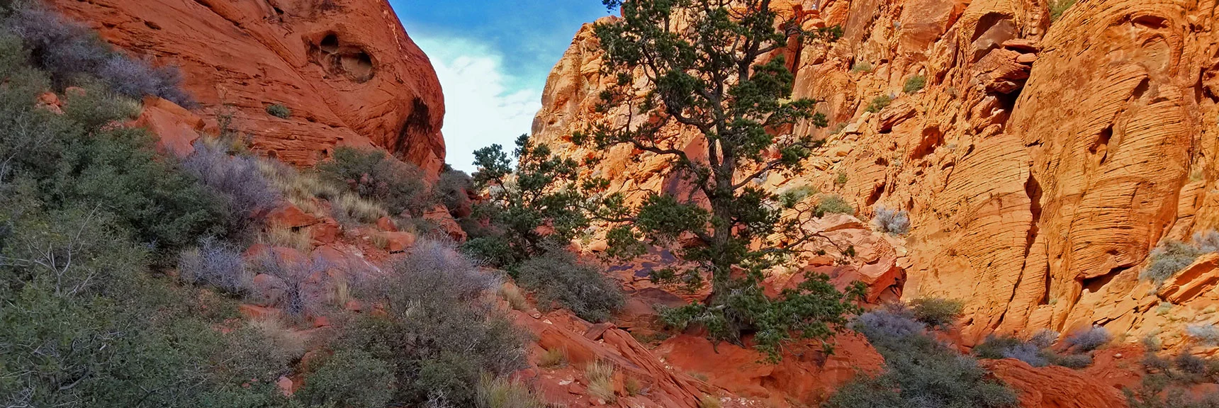 Spectacular 5-Mile Loop Spanning Calico Basin and Red Rock Canyon's Scenic Area | Lower Calico Hills Loop | Calico Basin & Red Rock Canyon, Nevada