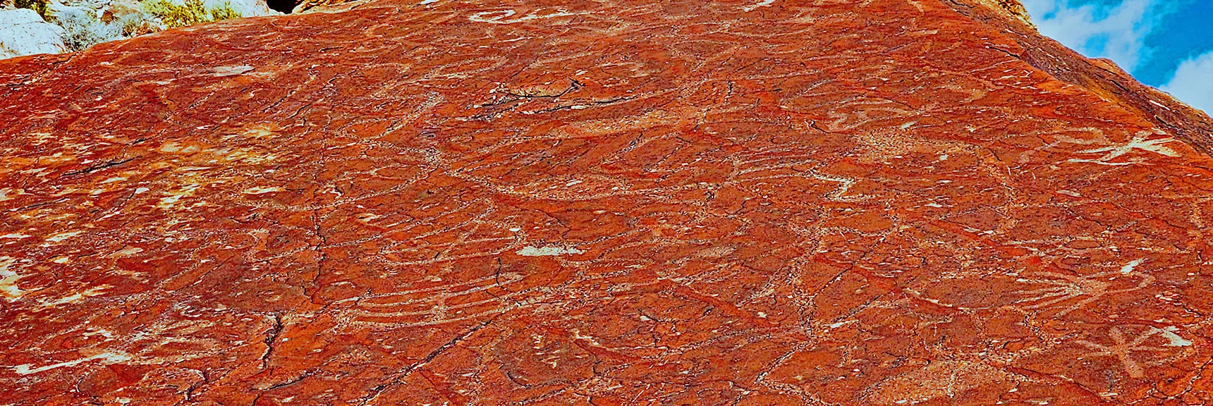 More Petroglyphs on the Rock Face | Lower Calico Hills Loop | Calico Basin & Red Rock Canyon, Nevada