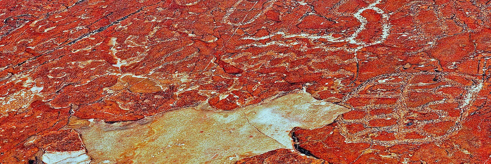 Closer View of a Few Petroglyphs | Lower Calico Hills Loop | Calico Basin & Red Rock Canyon, Nevada