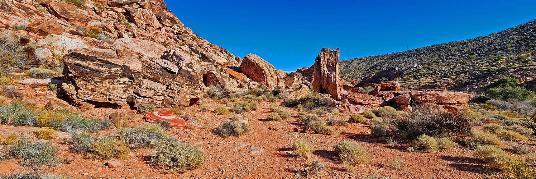 This Rock Formation Ahead Looks Like a Tree Trunk. Has Passages Within | Lower Calico Hills Loop | Calico Basin & Red Rock Canyon, Nevada