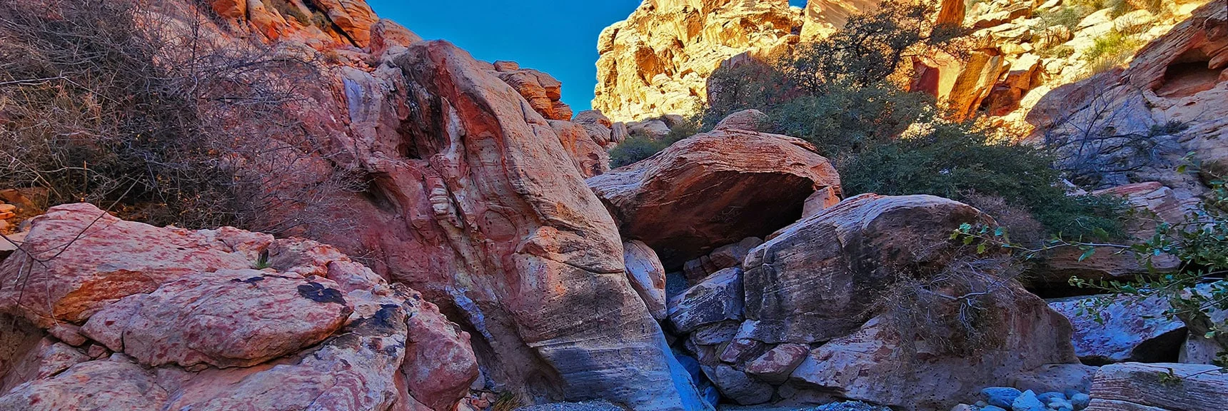 Here's a Brief, Light Class 3 Scramble | Lower Calico Hills Loop | Calico Basin & Red Rock Canyon, Nevada