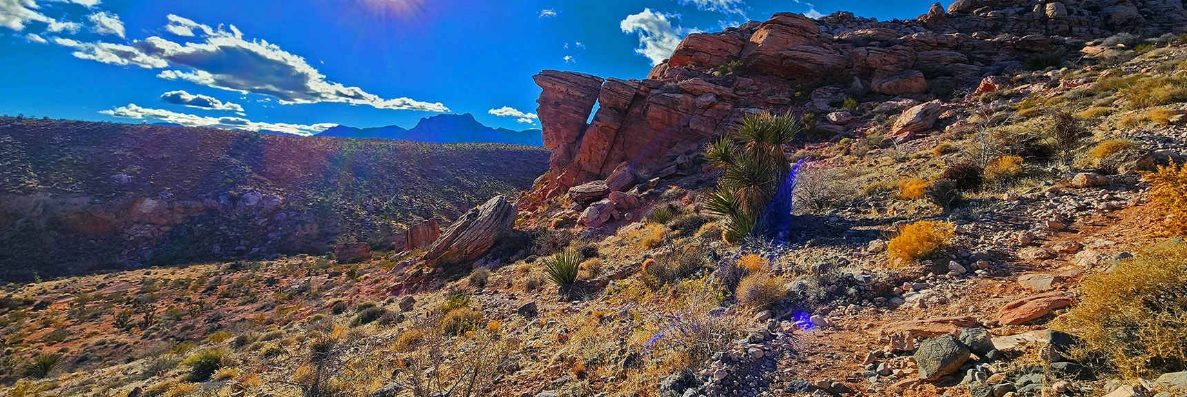Beautiful Rock Ledge Juts Out Over SW Corner. Calico Hills Overlook. | Lower Calico Hills Loop | Calico Basin & Red Rock Canyon, Nevada