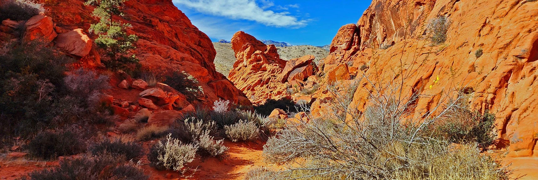 Passage Lower Opening Ahead. Will Turn Left onto Grand Circle Trail. | Lower Calico Hills Loop | Calico Basin & Red Rock Canyon, Nevada