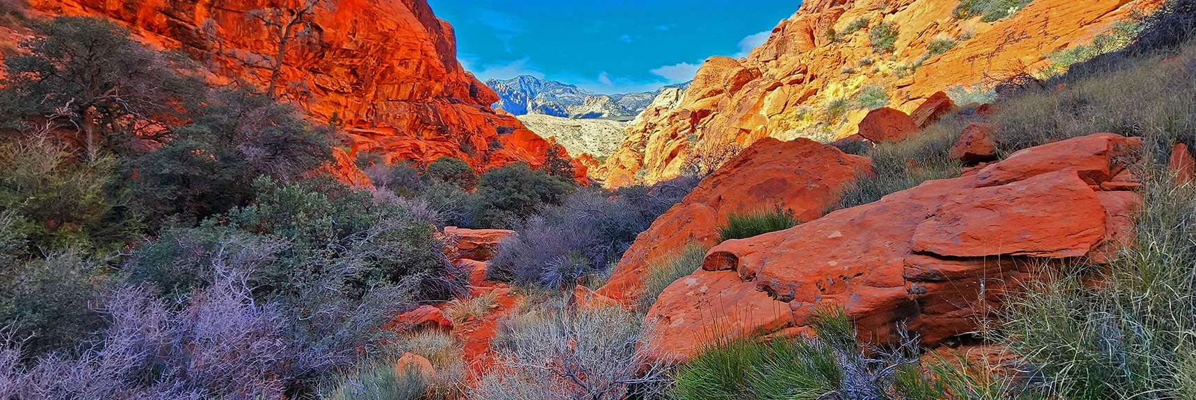 About Half-Way Down Descent Passage. | Lower Calico Hills Loop | Calico Basin & Red Rock Canyon, Nevada