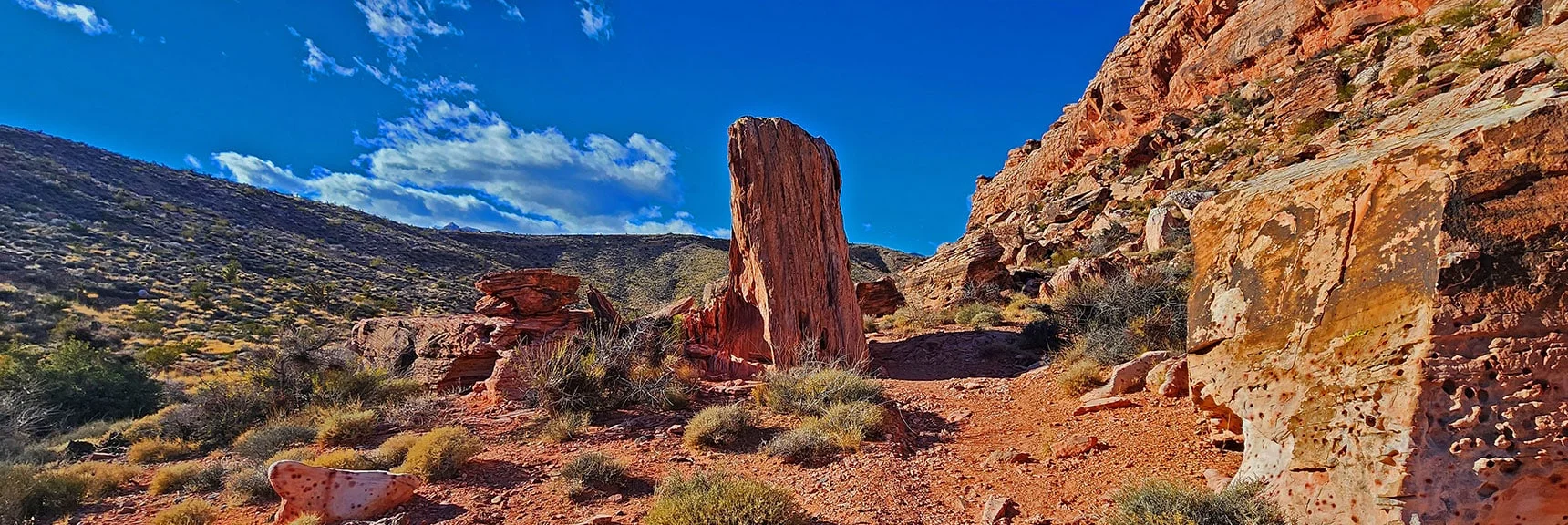 Looking Back at Tree Trunk Rock | Lower Calico Hills Loop | Calico Basin & Red Rock Canyon, Nevada | Lower Calico Hills Loop | Calico Basin & Red Rock Canyon, Nevada