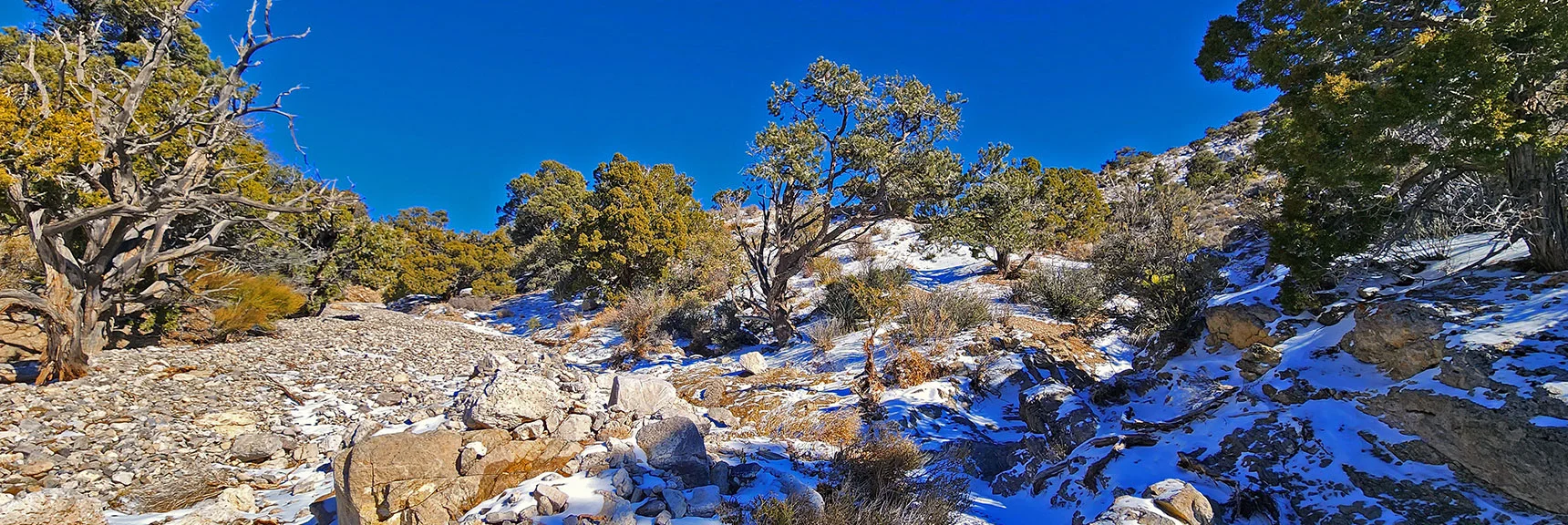 Later, Finally Ascend Faint Trail Out of Wash Up Ridge to Right. | 3 Basin Circuit | Calico Basin, Brownstone Basin, Red Rock Canyon, Nevada