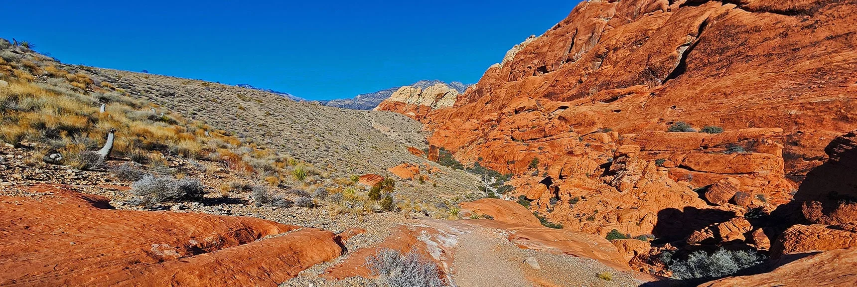 Continuing North in Wash Along Upper Calico Hills. Petroglyph Boulder Ahead! | 3 Basin Circuit | Calico Basin, Brownstone Basin, Red Rock Canyon, Nevada