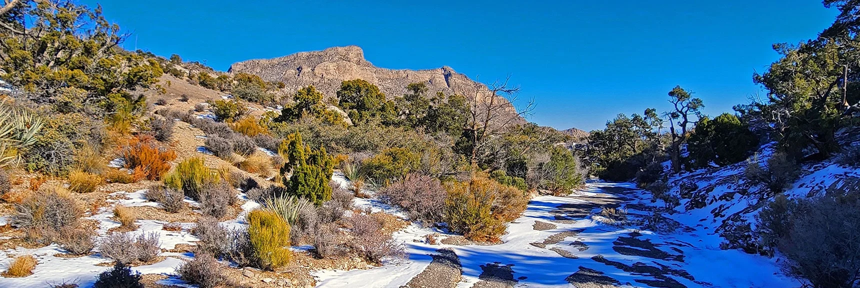 Descending Narrow Gully Below Saddle. Will Stay in Gully Until Stopped by Cliff. | 3 Basin Circuit | Calico Basin, Brownstone Basin, Red Rock Canyon, Nevada