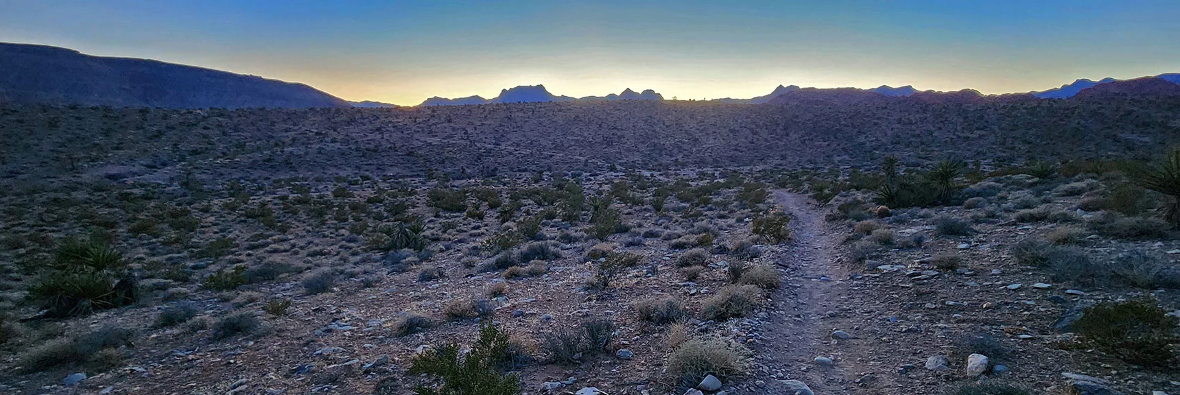 Continue on Half Wilson Trail Across Ridge Ahead. | 3 Basin Circuit | Calico Basin, Brownstone Basin, Red Rock Canyon, Nevada