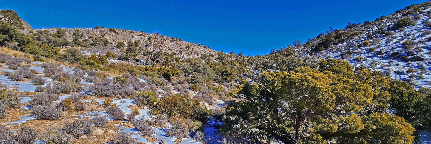 Now Aim For the Shallow Saddle Ahead. | 3 Basin Circuit | Calico Basin, Brownstone Basin, Red Rock Canyon, Nevada