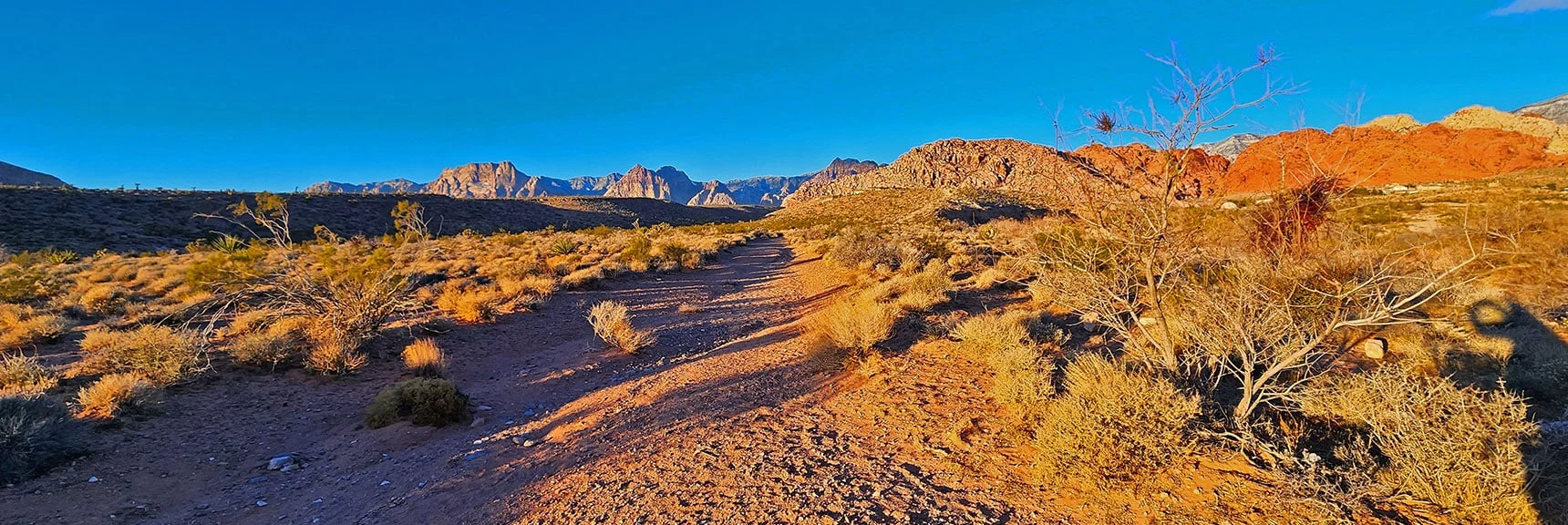 Donkey Way Trail, Great Route, Skirts South Side of Calico Hills | 3 Basin Circuit | Calico Basin, Brownstone Basin, Red Rock Canyon, Nevada