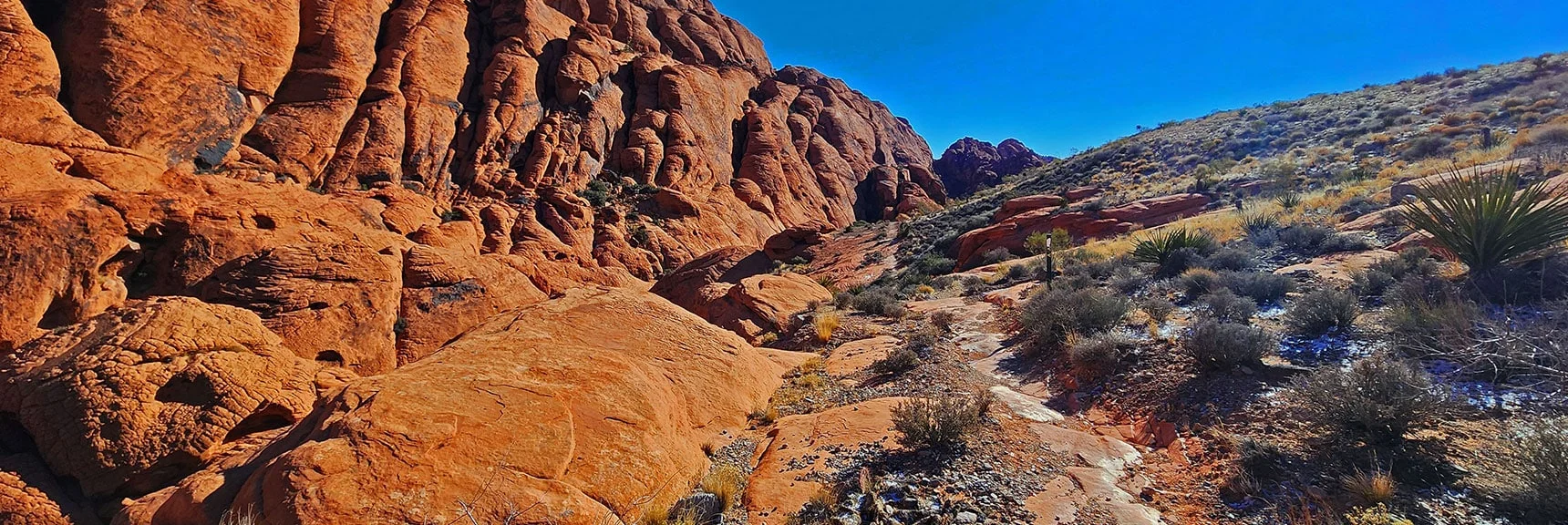 View Back Down Calico Hills | 3 Basin Circuit | Calico Basin, Brownstone Basin, Red Rock Canyon, Nevada