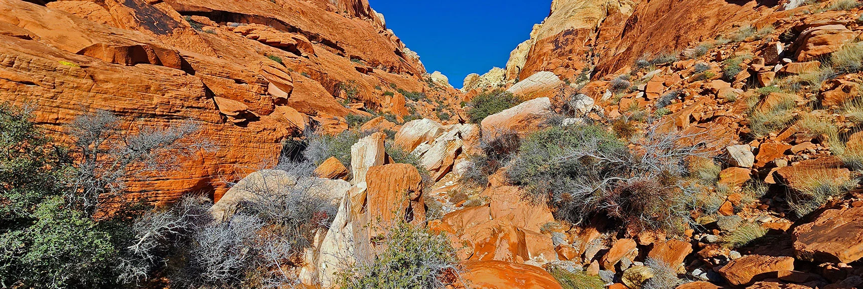 Descending Back to Larger Boulders and Brush...Some Light Class 3 Scrambling | Upper Calico Hills Loop | Calico Basin and Red Rock Canyon, Nevada