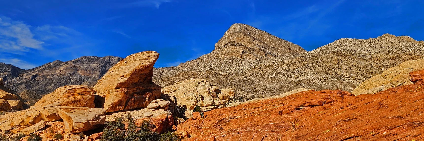 Turtlehead Peak Comes into View Again | Upper Calico Hills Loop | Calico Basin and Red Rock Canyon, Nevada