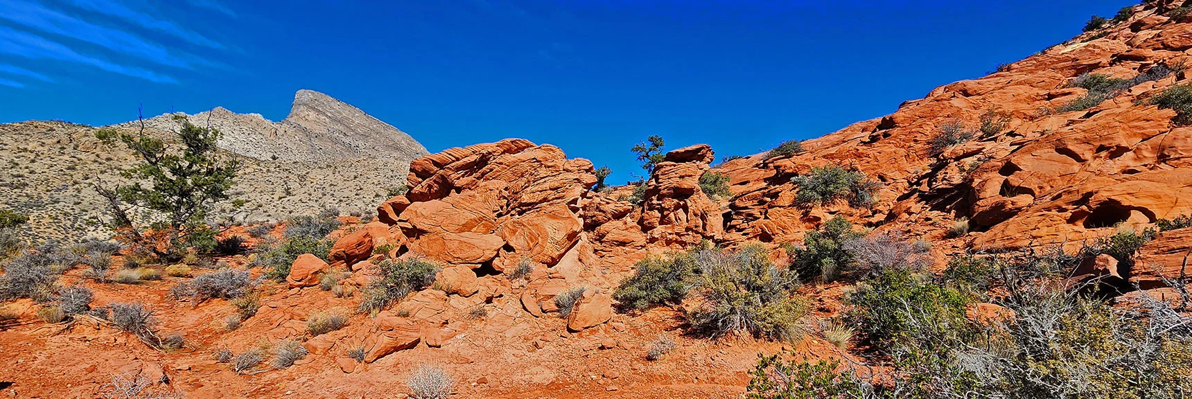 More Sculpted Sandstone Formations. Turtlehead Peak Comes into View | Upper Calico Hills Loop | Calico Basin and Red Rock Canyon, Nevada