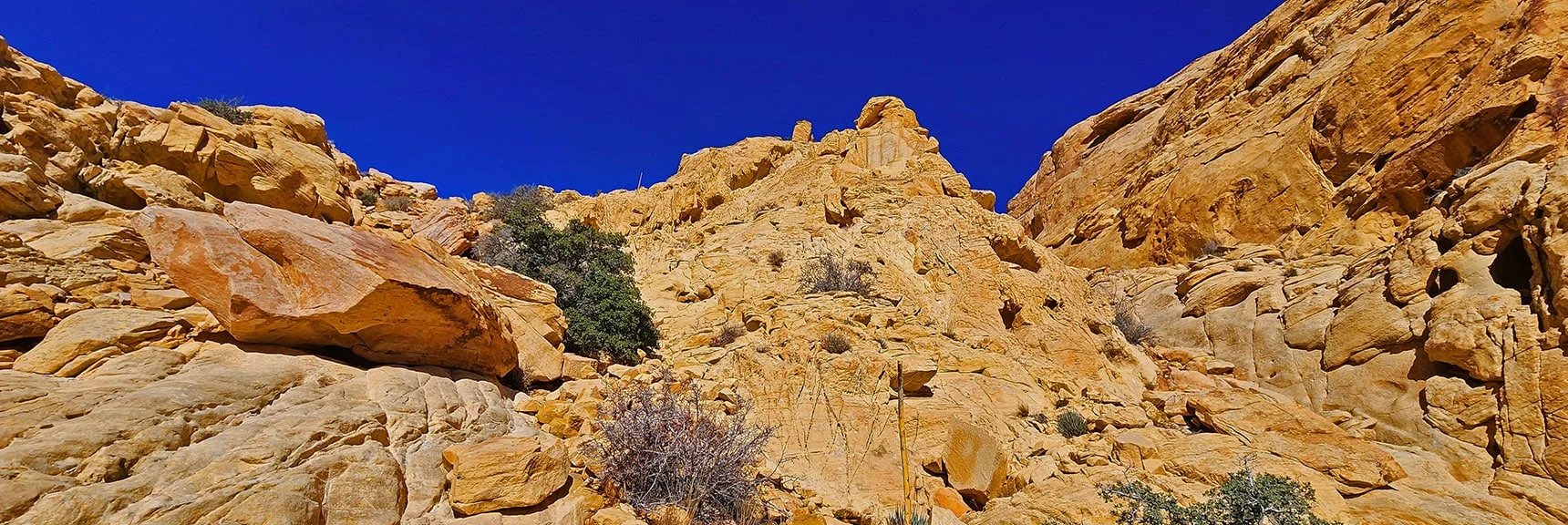 Could Go to Left or Right of This Formation. This Time Went Right. | Upper Calico Hills Loop | Calico Basin and Red Rock Canyon, Nevada