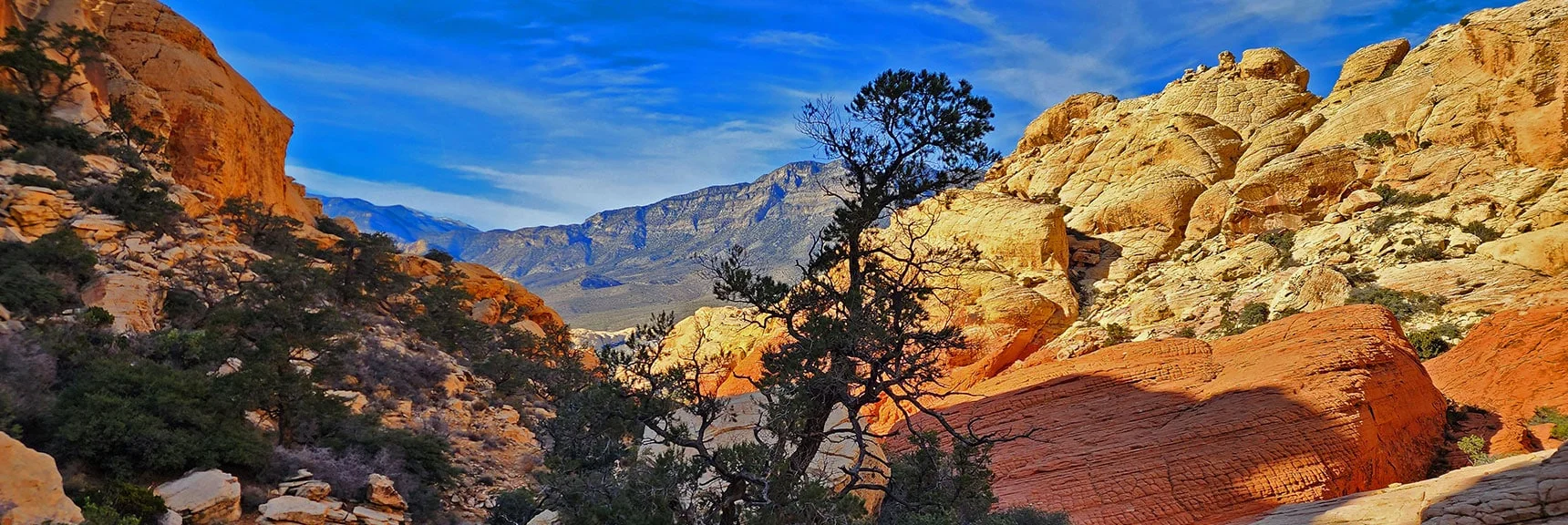 Returning Down the Beautiful Calico Tanks Trail | Upper Calico Hills Loop | Calico Basin and Red Rock Canyon, Nevada
