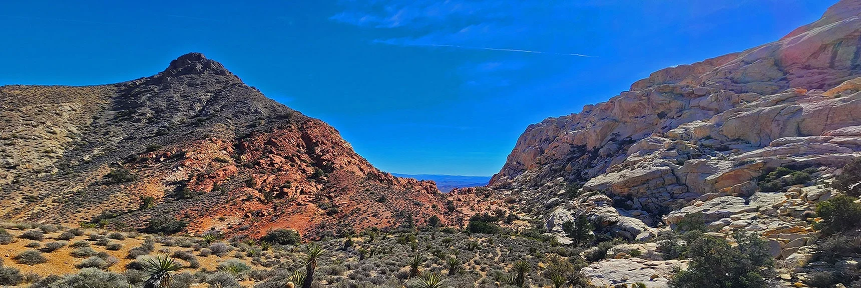View from Rattlesnake Trail Back Ash Canyon's Upper Entrance | Upper Calico Hills Loop | Calico Basin and Red Rock Canyon, Nevada