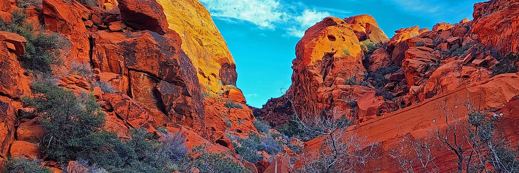 There's a Trail That Helps You Wind Upward Through the Corridor. | Upper Calico Hills Loop | Calico Basin and Red Rock Canyon, Nevada