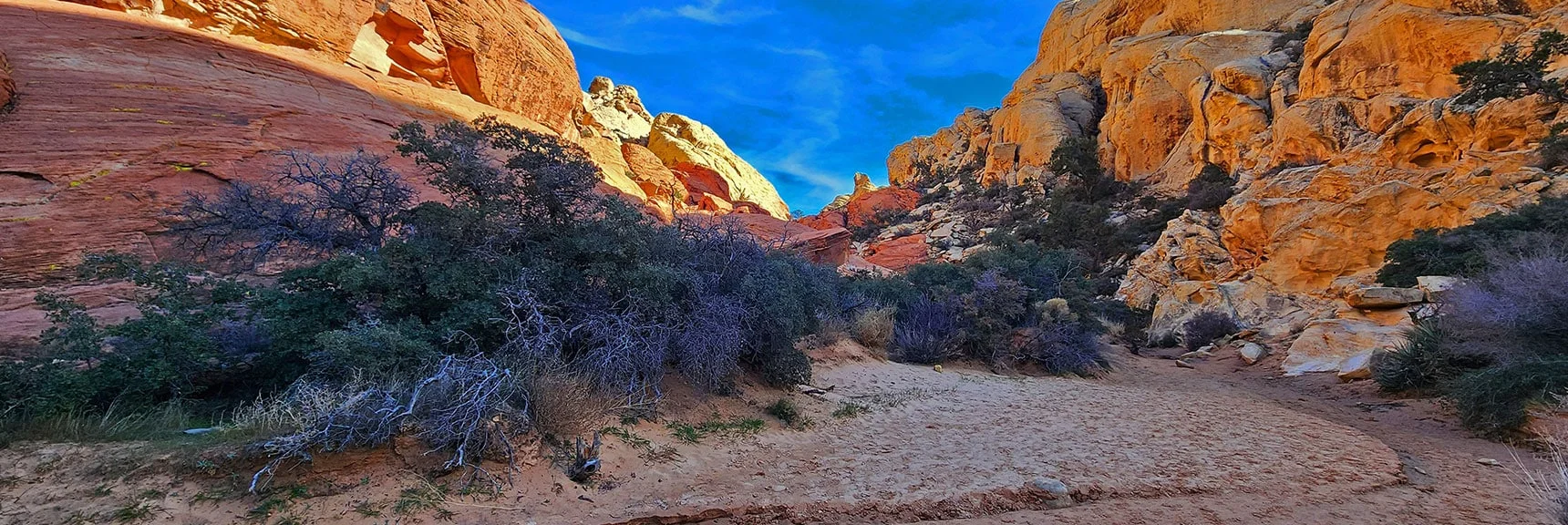View Further Up the Calico Tanks Trail | Upper Calico Hills Loop | Calico Basin and Red Rock Canyon, Nevada