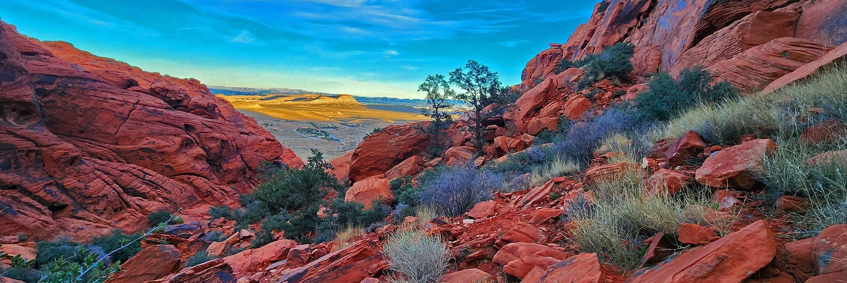Try to Stay to the Upper Right (Pass Between Those 2 Trees) to Avoid Obstacles | Upper Calico Hills Loop | Calico Basin and Red Rock Canyon, Nevada