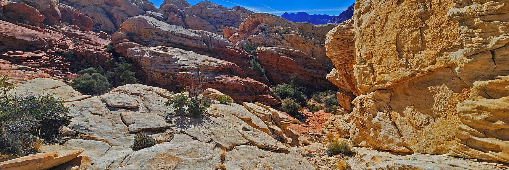 Now Descending to Connect with the Calico Tanks Trail | Upper Calico Hills Loop | Calico Basin and Red Rock Canyon, Nevada